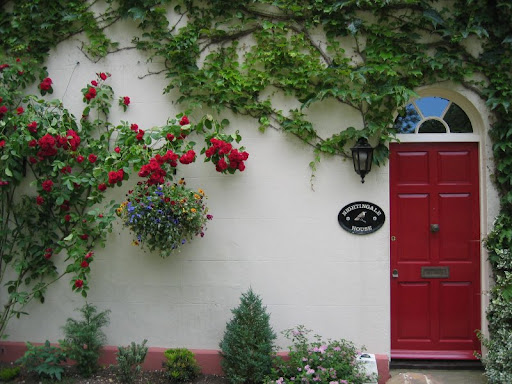 door and bushes 