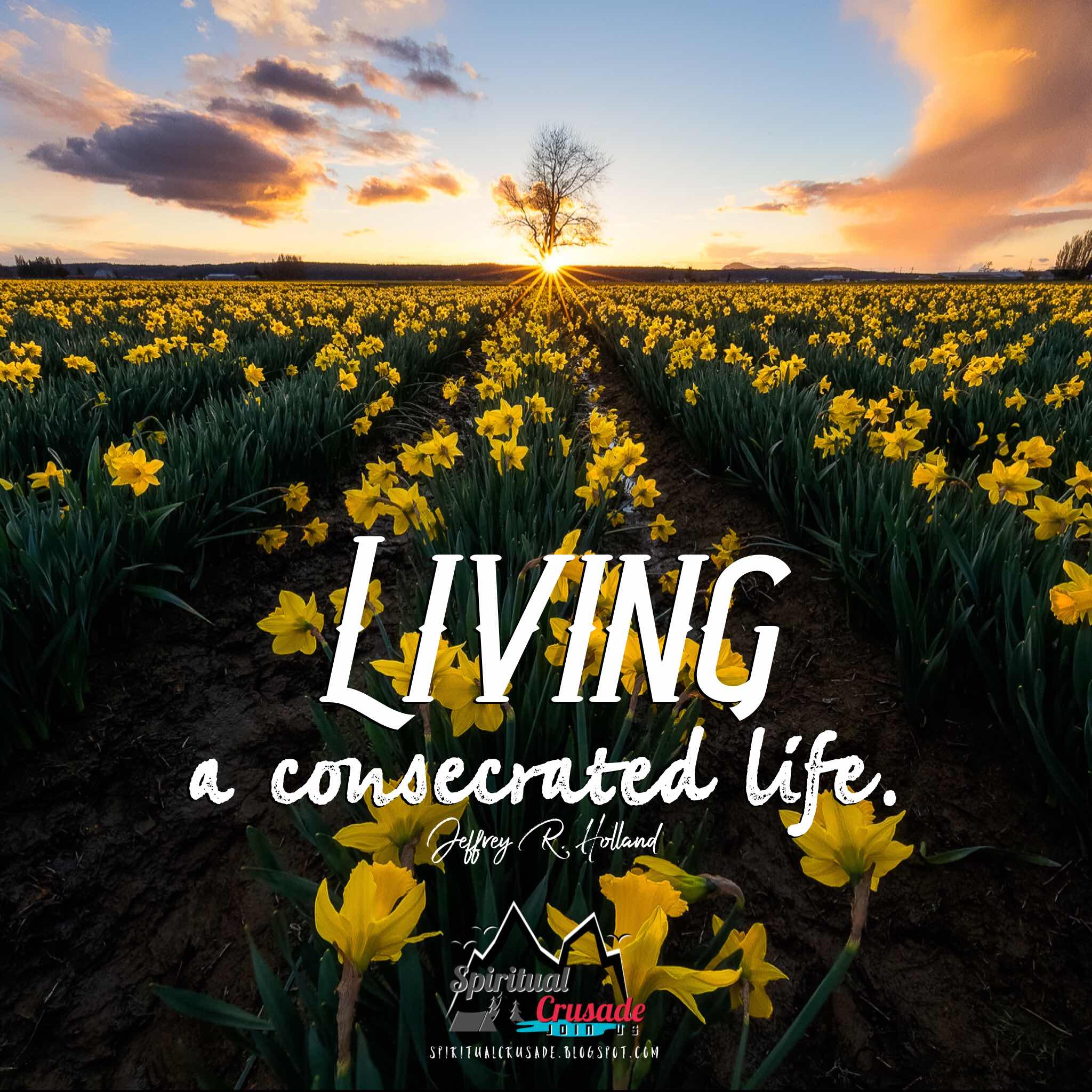 Live a Consecrated Life