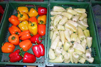 Farmer's Market, Tubingen