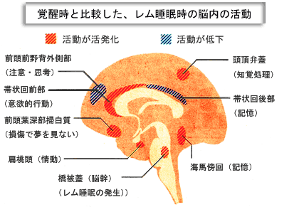 見れる 見 方法 たい 夢 が