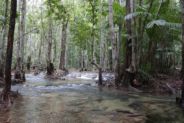 AO NANG: TIGER CAVE TEMPLE, EMERALD POOL Y HOT SPRING - TAILANDIA Y ANGKOR: BIENVENIDOS A ASIA (7)