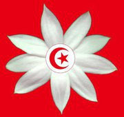 لماذا سميت ثورة الشعب التونسي بثورة الياسمين؟ ____+________