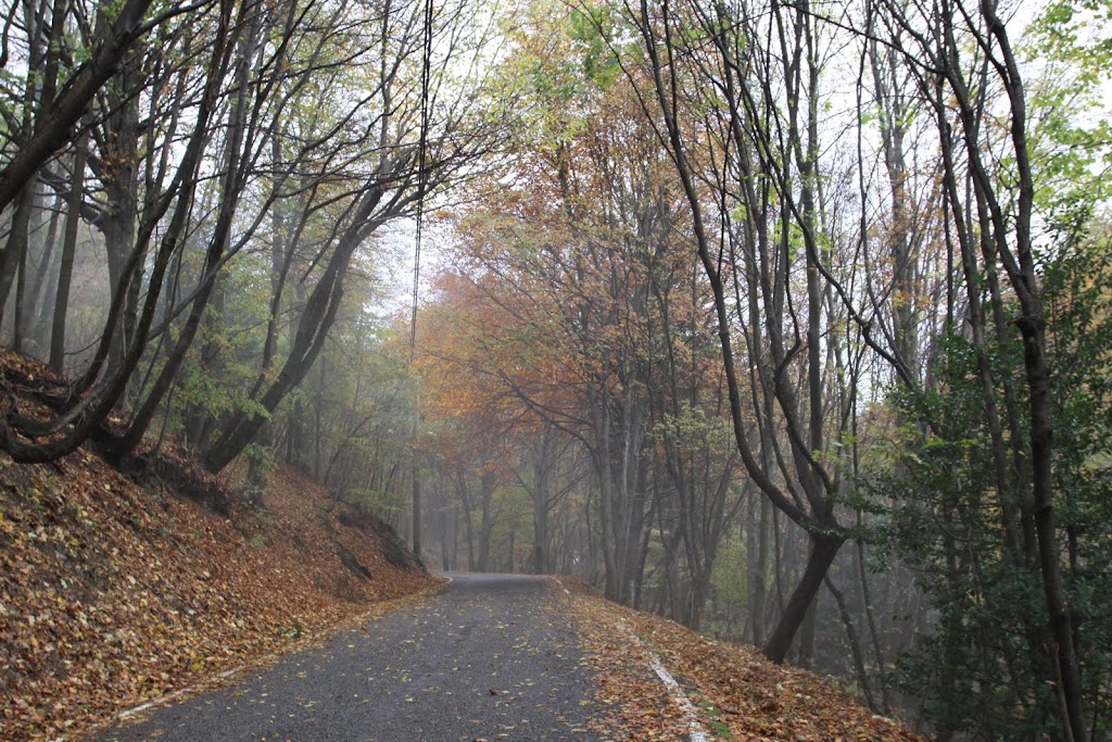 Lombardia en Otoño - Blogs de Italia - Bergamo (6)