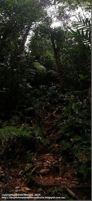 Bobbin Bobbin Falls climb pano