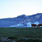 Ramat pasturant amb el pic Gerbats al fons
