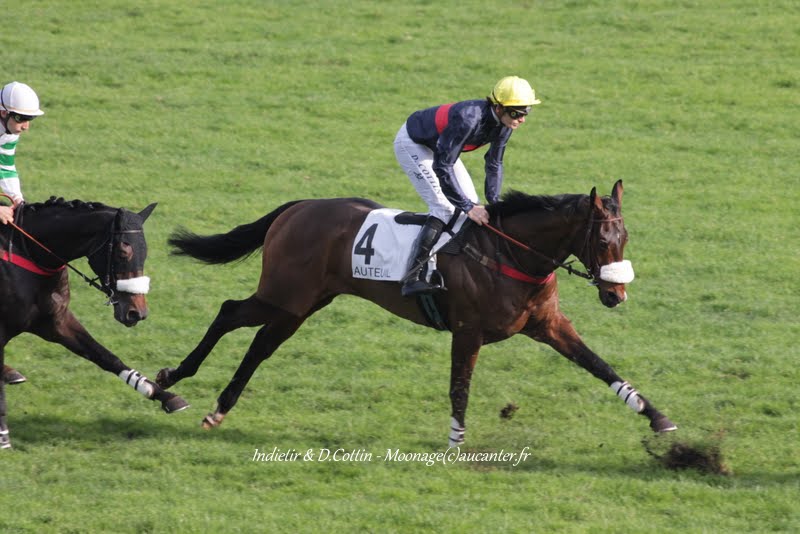 Photos Auteuil 8-11-2015 (48h de l'obstacle) IMG_6922