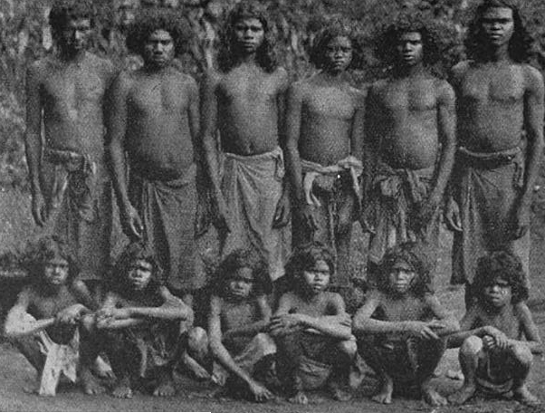 파일:external/upload.wikimedia.org/Untouchables_of_Malabar_Kerala_Dravidian_Australoid.png