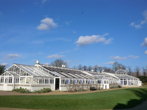 CIMG2512 Conservatory, Chiswick House