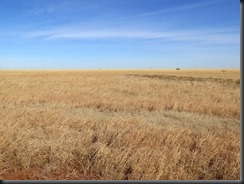 170608 009 Cape Crawford to Barkly Homestead