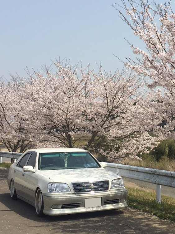 の投稿画像1枚目