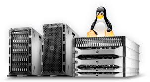 Linux Dedicated Server-Setup 2.jpg