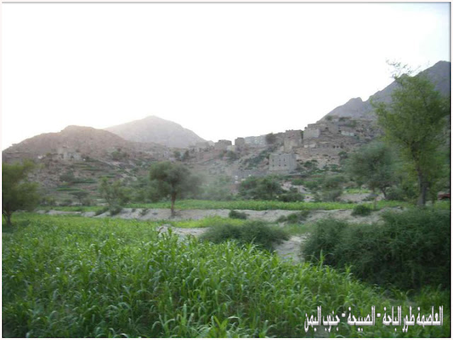 طور الباحة ام ريف الجنوب وجنته , صور جنااااااان 7