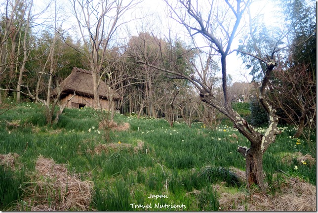 日本四國高松景點博物館  四國村 (32)