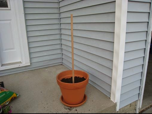 Cómo hacer una columna con macetas, plantas y flores.