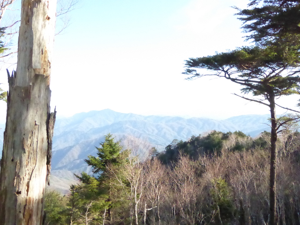 富士山だけホワイトアウト２