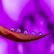 Item logo image for A glistening dewdrop on the foliage