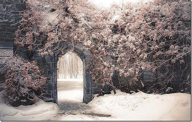 Snowy Archway