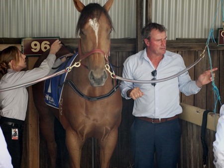 mahuta_stalls 2