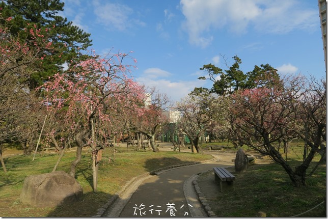 新潟 白山神社 白山公園  (5)