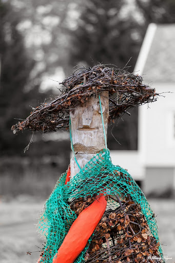 Treewoman. Godfjorden, Hinnøya, Norway