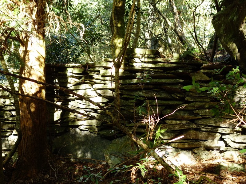 2014_0101-0105 萬山神石、萬山岩雕順訪萬頭蘭山_0311