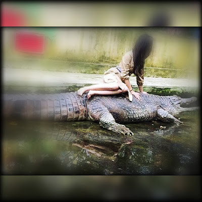 Waspada ! Buaya Tampak Tertidur Ternyata Masih Bisa Menyerang