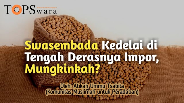 Swasembada Kedelai di Tengah Derasnya Impor, Mungkinkah?