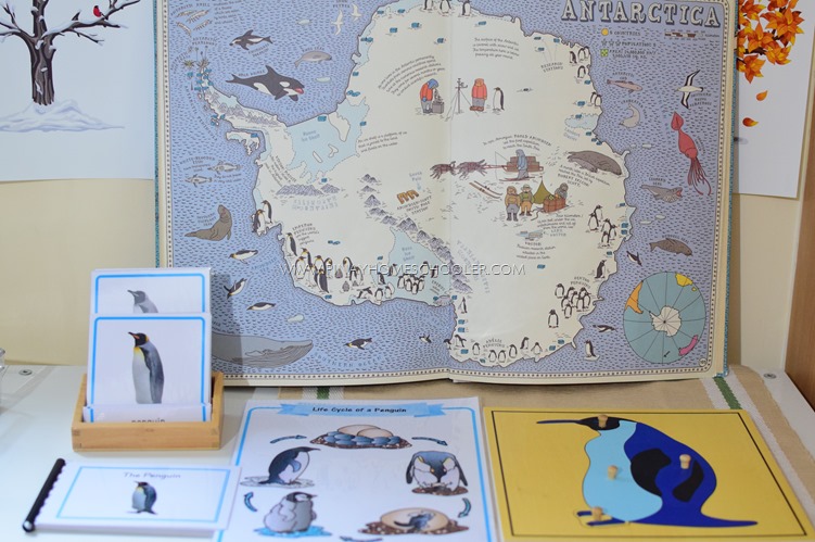 Montessori Inspired Penguin Unit for Preschoolers