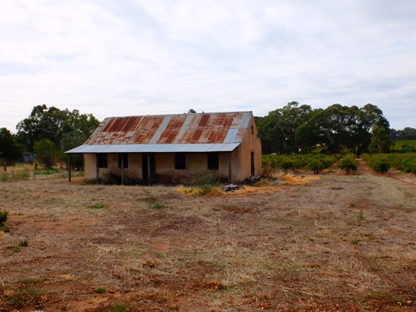 Wishful Thinking - South Australia