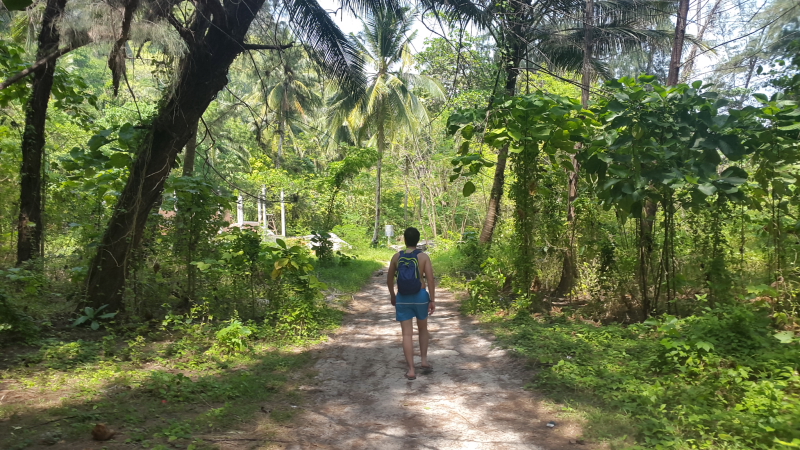 KRABI. El Tour de las Cinco Islas. - TAILANDIA. LA TIERRA DE LOS HOMBRES LIBRES (5)