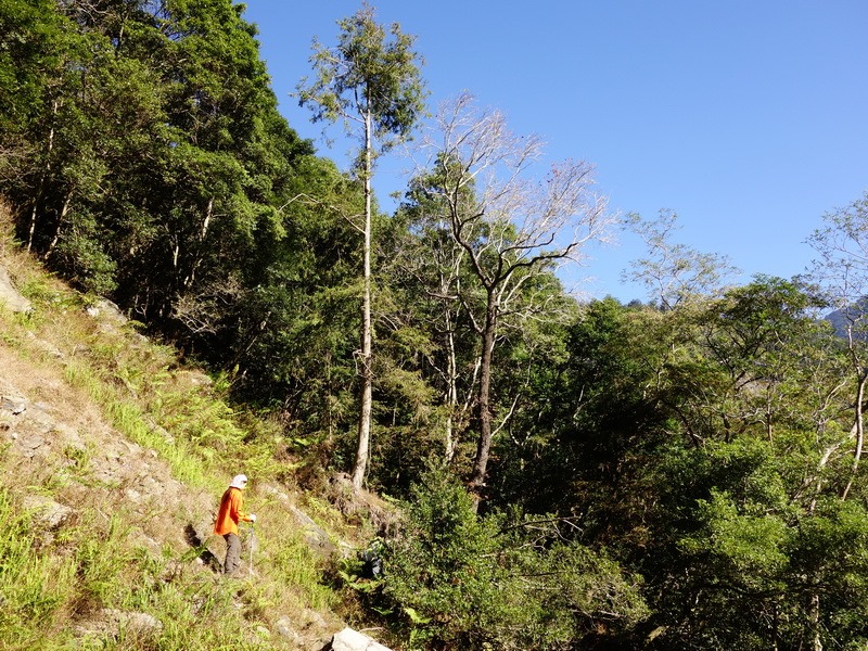 2014_0101-0105 萬山神石、萬山岩雕順訪萬頭蘭山_0325