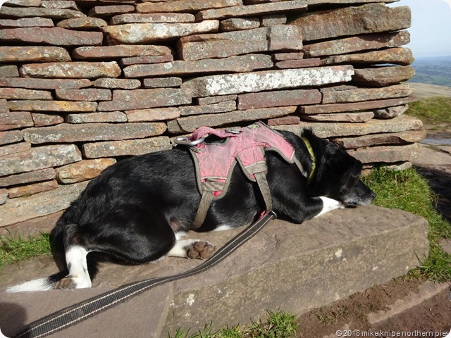 ltd sunbathing llandovery 042