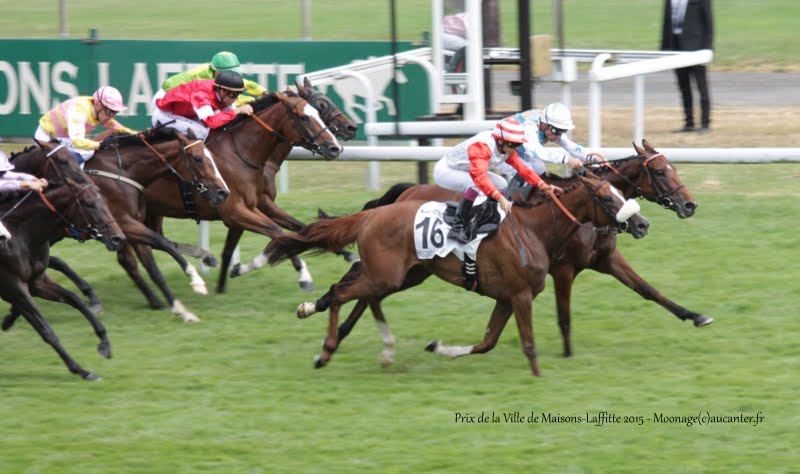 Photos Maisons-Laffitte 5-07-2015 IMG_2276