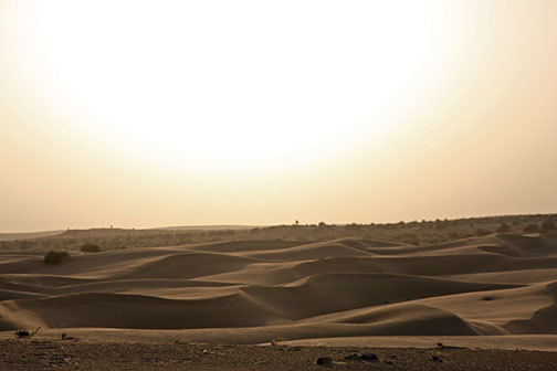 Thar Desert