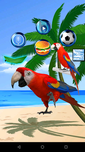 Screenshot Talking Parrot 2