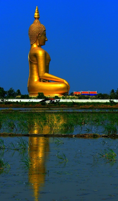 பெரிய புத்தர் சிலை! Largest_Buddha_Statue_6