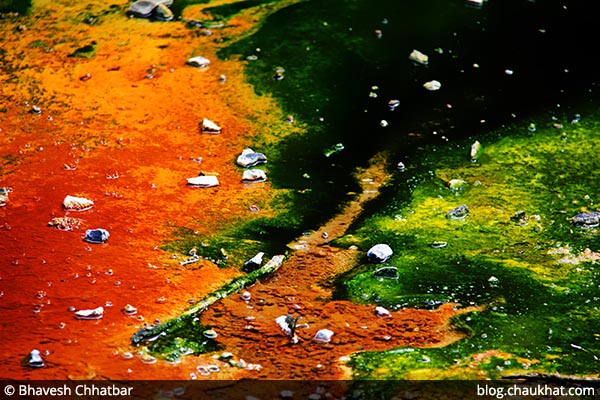 Beautiful hues of colors of the bacteria that live in the acidic water of Waimangu Stream [Frying Pan Lake overflow stream] at Waimangu Volcanic Valley in New Zealand