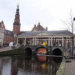  in Leiden, Netherlands 