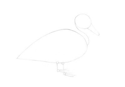 how to draw a duck