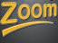 ZOOM TV