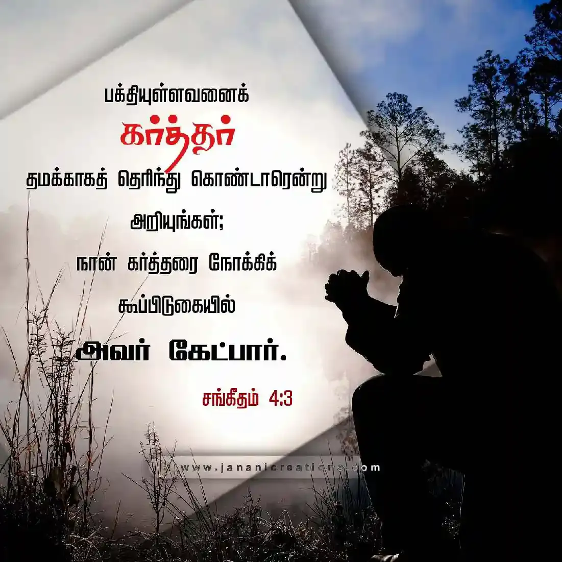 bible verses in tamil 