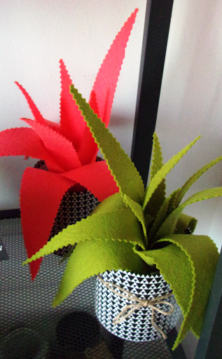 aloe vera en feutrine barre virginie