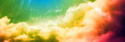 Profile cover photo