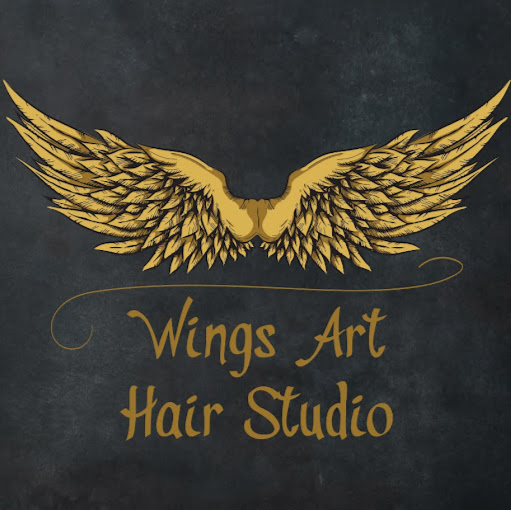 Wings Art Studio logo