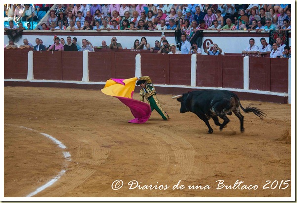 Toros Feria 2015-9852