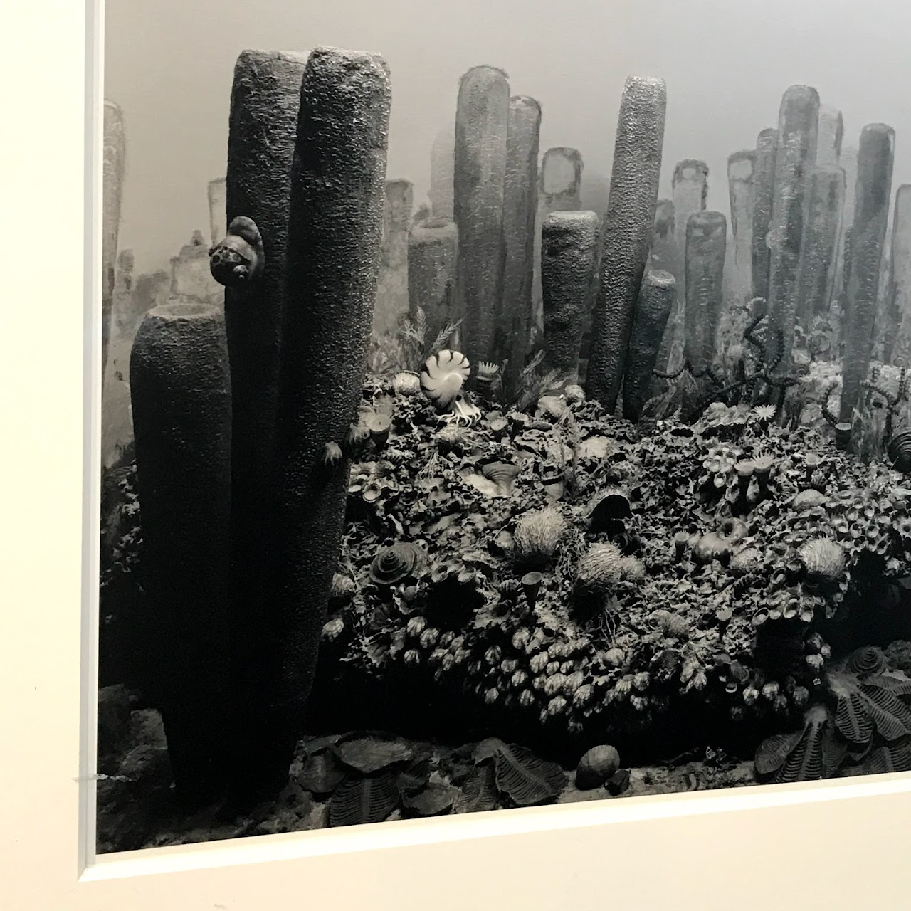 Hiroshi Sugimoto Silver Gelatin Print