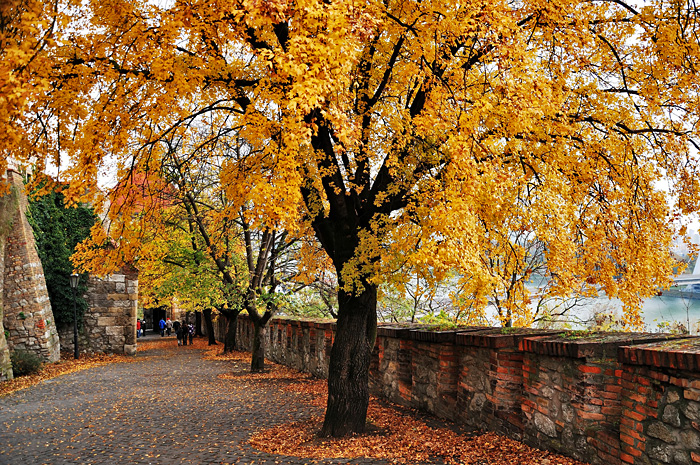 Bratislava, Slovacia