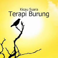 Audio Kicau Suara Terapi Burung