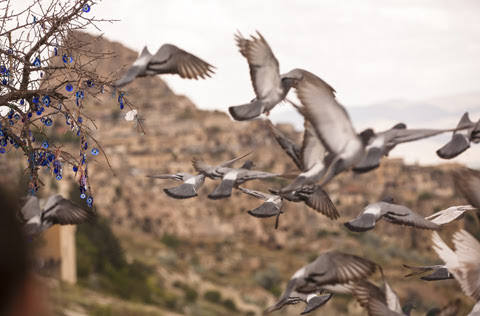 Estambul – Capadocia. Mayo 2015 VIAJE II - TURQUÍA&TURQUÍA : Estambul, Capadocia, Éfeso, Pammukale y Dalyan (50)