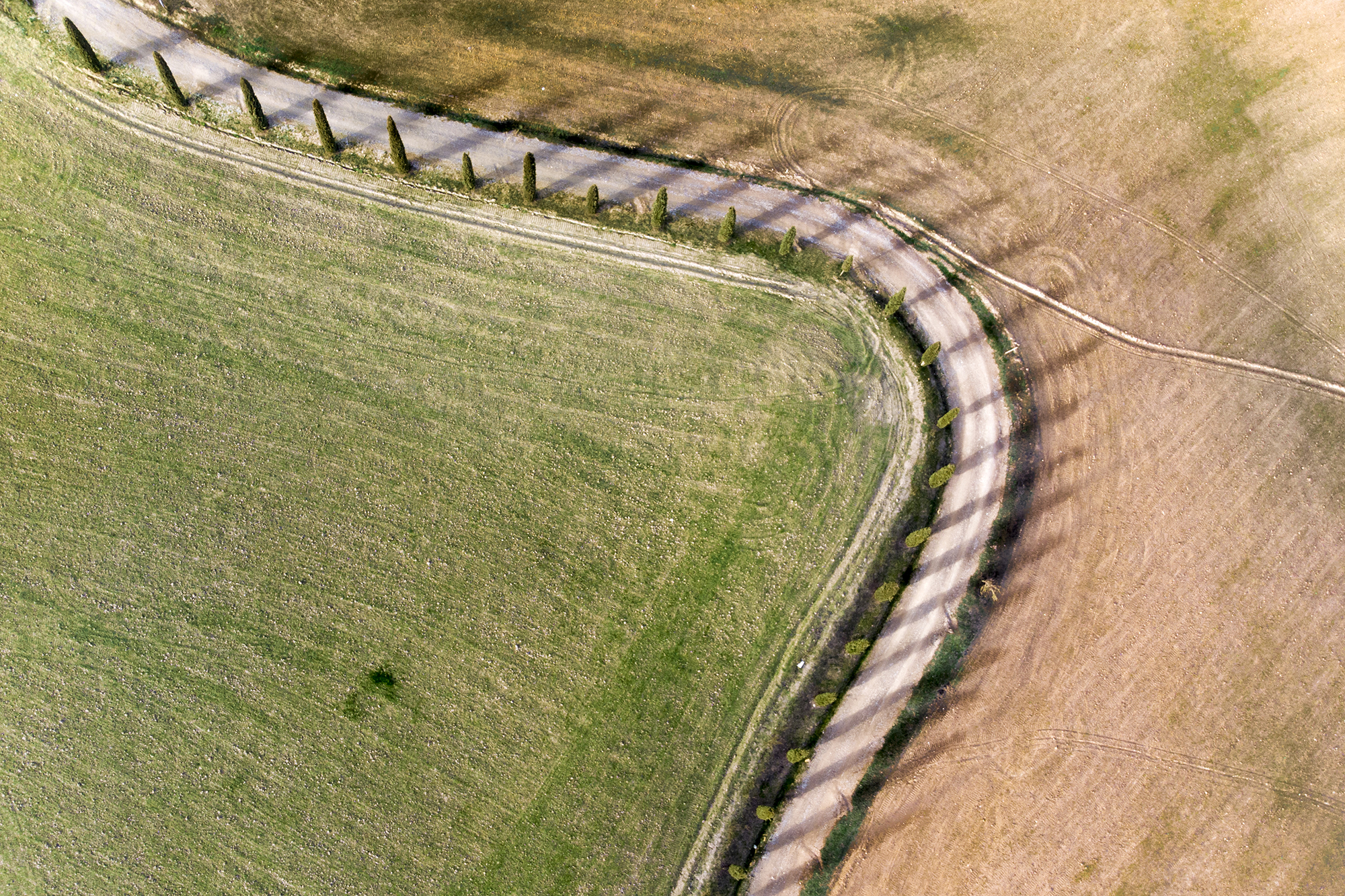 confini toscani di carcat